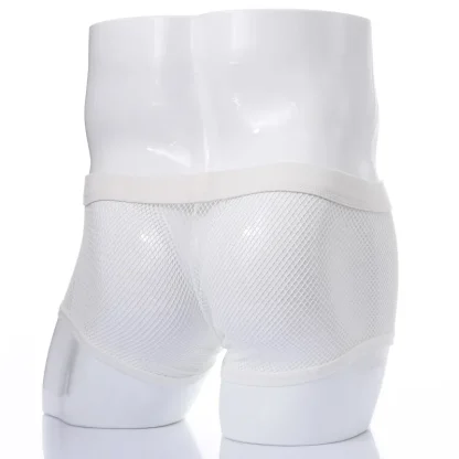 Sheer Mesh Underwear - Image 5