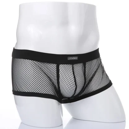 Sheer Mesh Underwear