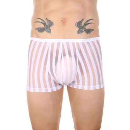 Premium Transparent Boxer Shorts - Image 2