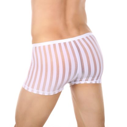 Premium Transparent Boxer Shorts - Image 3