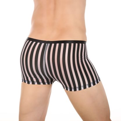 Premium Transparent Boxer Shorts - Image 4