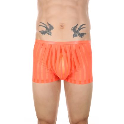 Premium Transparent Boxer Shorts - Image 5