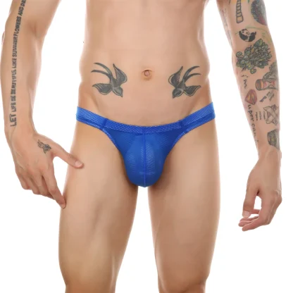 Provocative Mesh Sheer Thong - Image 3