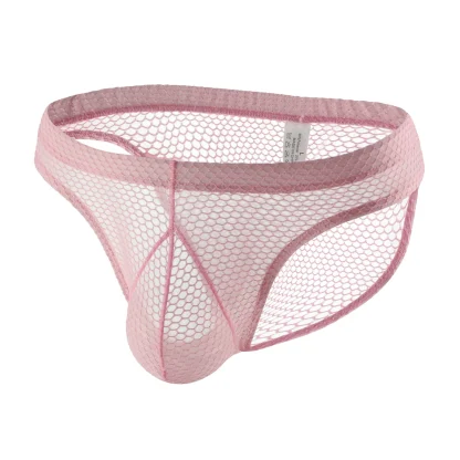Transparent Fishnet Pouch Panties - Image 2