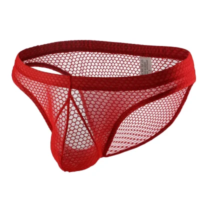 Transparent Fishnet Pouch Panties - Image 3