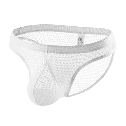 Transparent Fishnet Pouch Panties - Image 4
