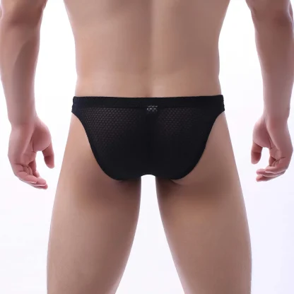 Transparent Fishnet Pouch Panties - Image 5