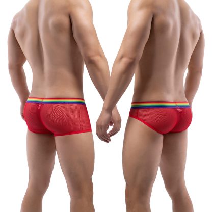 Sensual Mesh Underwear Set - Image 2