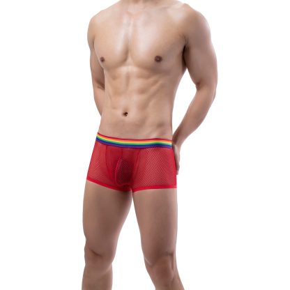 Sensual Mesh Underwear Set - Image 4