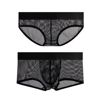 Sensual Mesh Underwear Set - Image 5