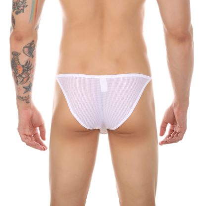 Mesh Sheer Panties - Image 2