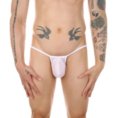 Mesh Sheer Panties - Image 3