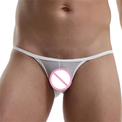 Sleek See-Through Panty Lingerie - Image 2