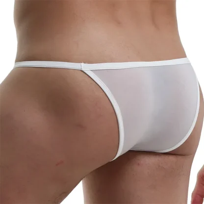Sleek See-Through Panty Lingerie
