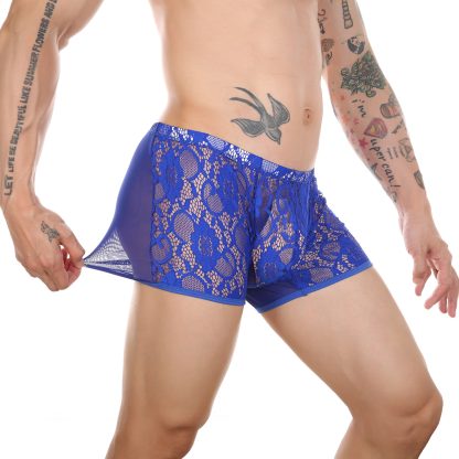 Sensual Lace Boxershorts - Image 4