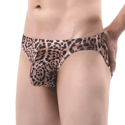 Provocative Sheer Panties - Image 5