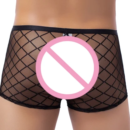 Mesh Boxershorts Lingerie - Image 4