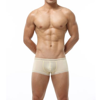 Seductive Boxer Shorts - Image 4