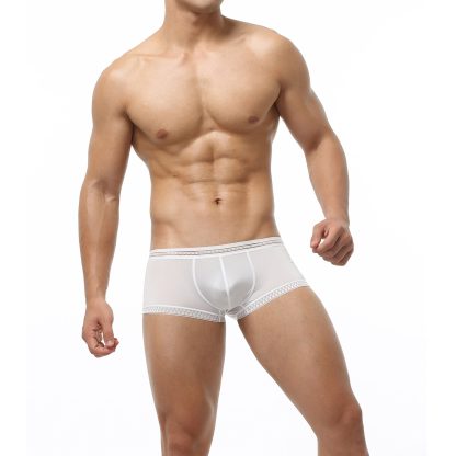 Seductive Boxer Shorts