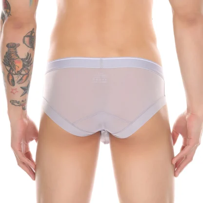 Mesh Underwear Collection - Image 2