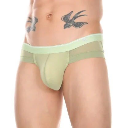 Mesh Underwear Collection - Image 3