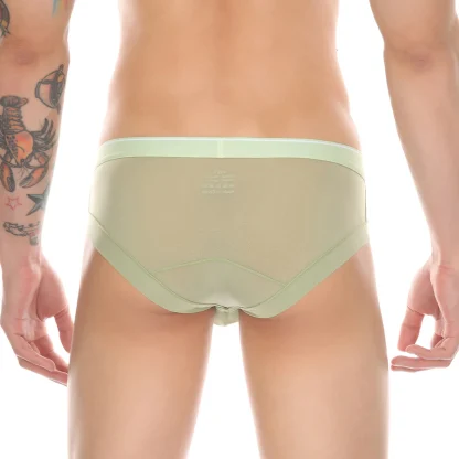 Mesh Underwear Collection - Image 4