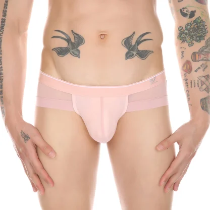 Mesh Underwear Collection - Image 5
