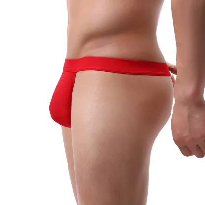 Erotic Mesh Panties - Image 3