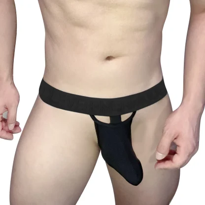 Sensual Sheer Underpants