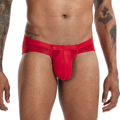Sleek Sexy Underpants - Image 4