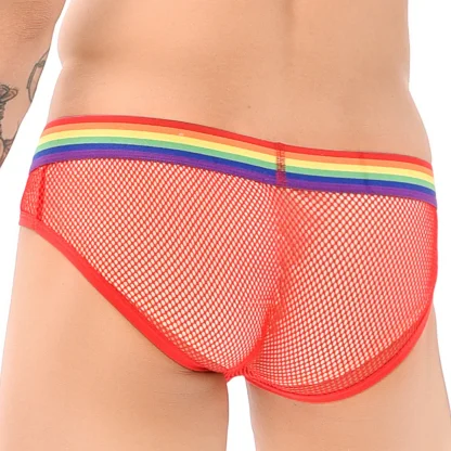 Hollow Fishnet Underwear - Image 5