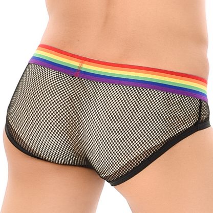 Hollow Fishnet Underwear - Image 4