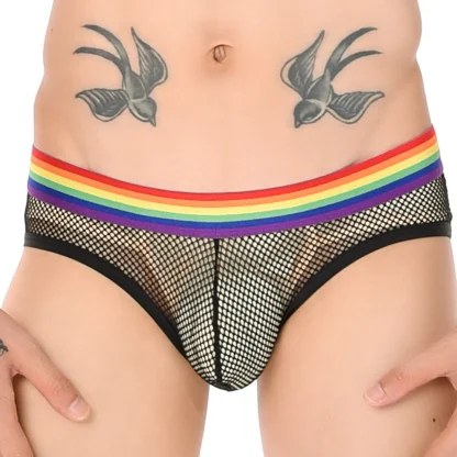Hollow Fishnet Underwear - Image 3