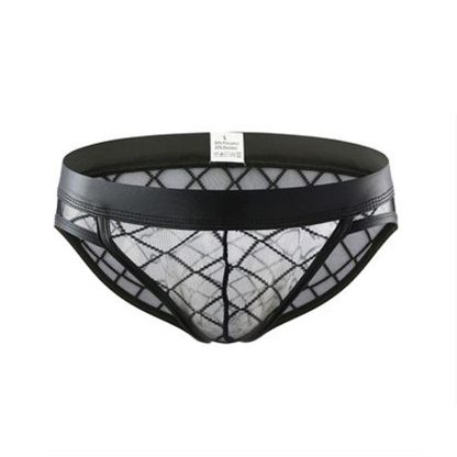 Sensual Mesh Underwear with Functional Pouch - Image 3