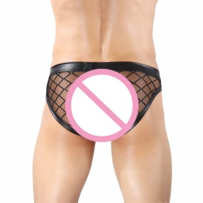 Sensual Mesh Underwear with Functional Pouch - Image 6