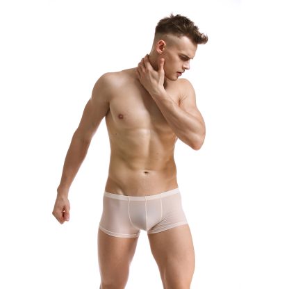 Sexy Transparent Ultra-Thin Panties - Image 4
