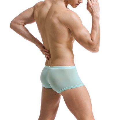 Sexy Transparent Ultra-Thin Panties - Image 5