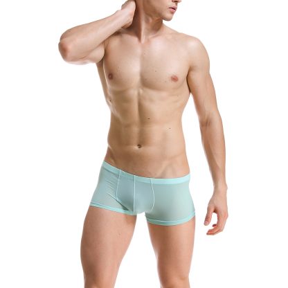 Sexy Transparent Ultra-Thin Panties
