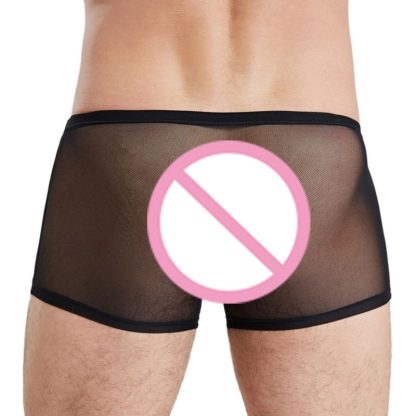 Sensual Mesh Boxer Briefs - Image 2