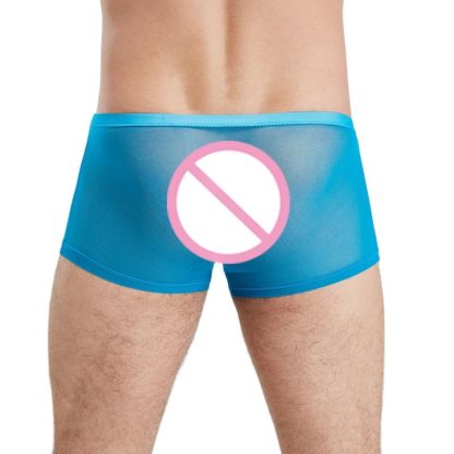 Sensual Mesh Boxer Briefs - Image 3