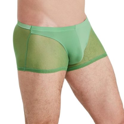 Sensual Mesh Boxer Briefs - Image 4