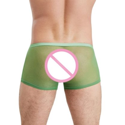Sensual Mesh Boxer Briefs - Image 5