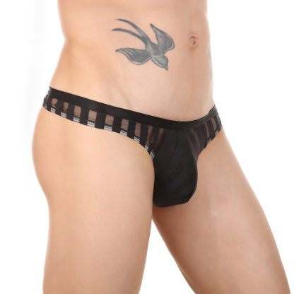 Transparent Striped Panties - Image 4