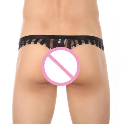 Transparent Striped Panties - Image 5