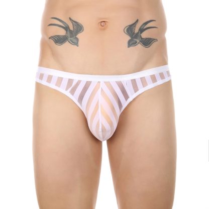 Transparent Striped Panties - Image 6