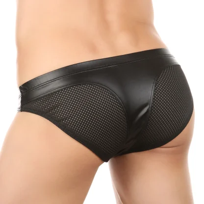 Sensual Mesh Underwear - Image 4