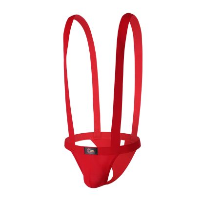 Suspender Strap Underwear - Image 4