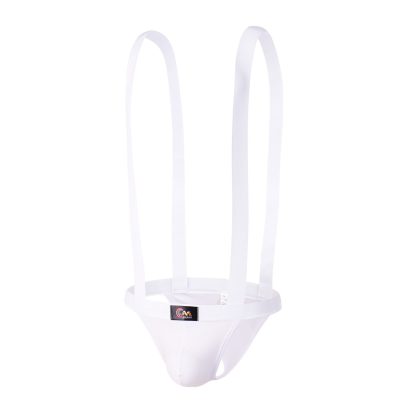Suspender Strap Underwear - Image 5
