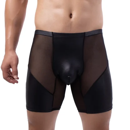 Sexy Mesh Panties - Image 4
