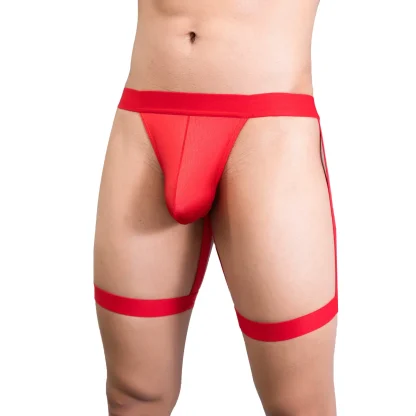 Sensual Lingerie Strap Panties